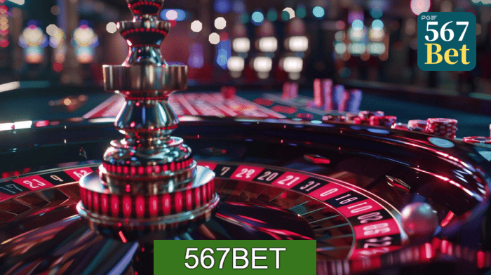 Figura 3 do login da 567BET